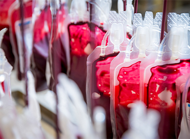 blood donation bags hanging up