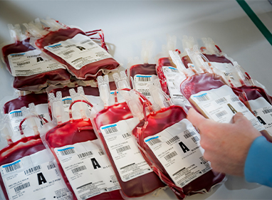 a group of blood donation bags with labels are being examined by a scientist