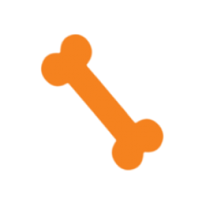 Illustration of an orange bone