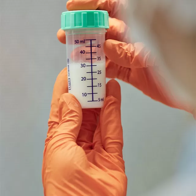 gloved hands holding up a vial of milk