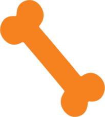Icon of an orange bone to represent bone marrow donation, for Lifeblood