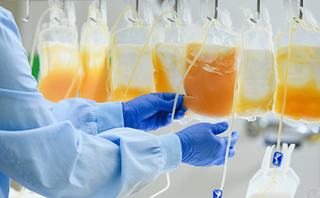 Lab technician's hand holding sorting bags of plasma  