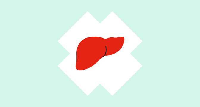 illustration of liver on an ice blue background