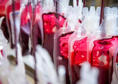 blood donation bags hanging up