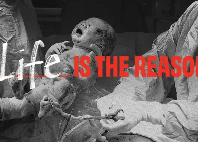 baby being born infront of the words Life is the reason