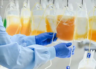 Lab technician's hand holding sorting bags of plasma  