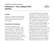 Influenza A – virus subtype H1N1, A(H1N1) thumbnail