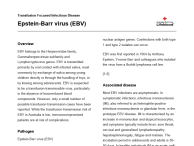 Epstein Barr Virus (EBV) thumbnail image