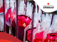 transfusion orientation pack thumbnail image