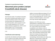 Abnormal prion protein (variant Creutzfeldt-Jakob disease)